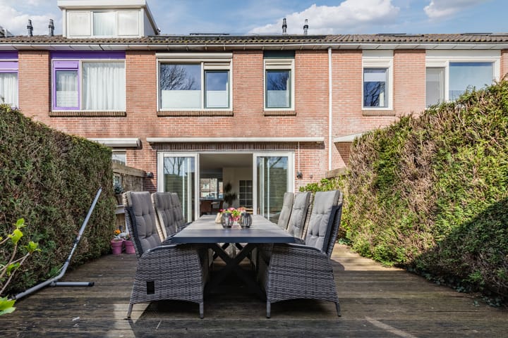 Photo 37 of Baardspringer 23