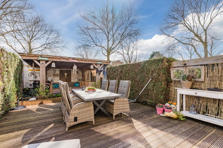 Photo 39 of Baardspringer 23