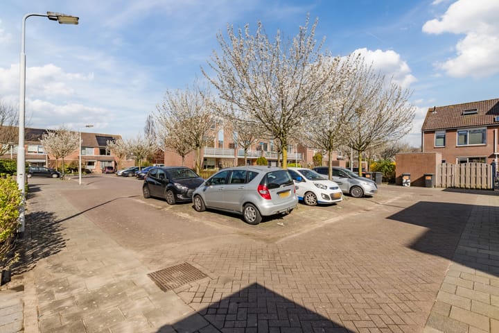 Photo 40 of Baardspringer 23