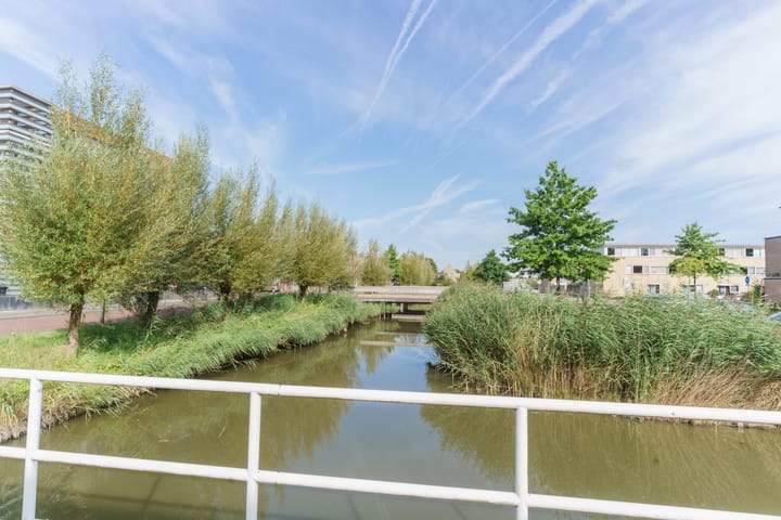 Photo 2 of Breedkapper 1