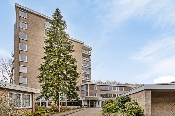 Photo 34 of Esschebaan 100