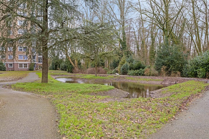 Photo 37 of Esschebaan 100