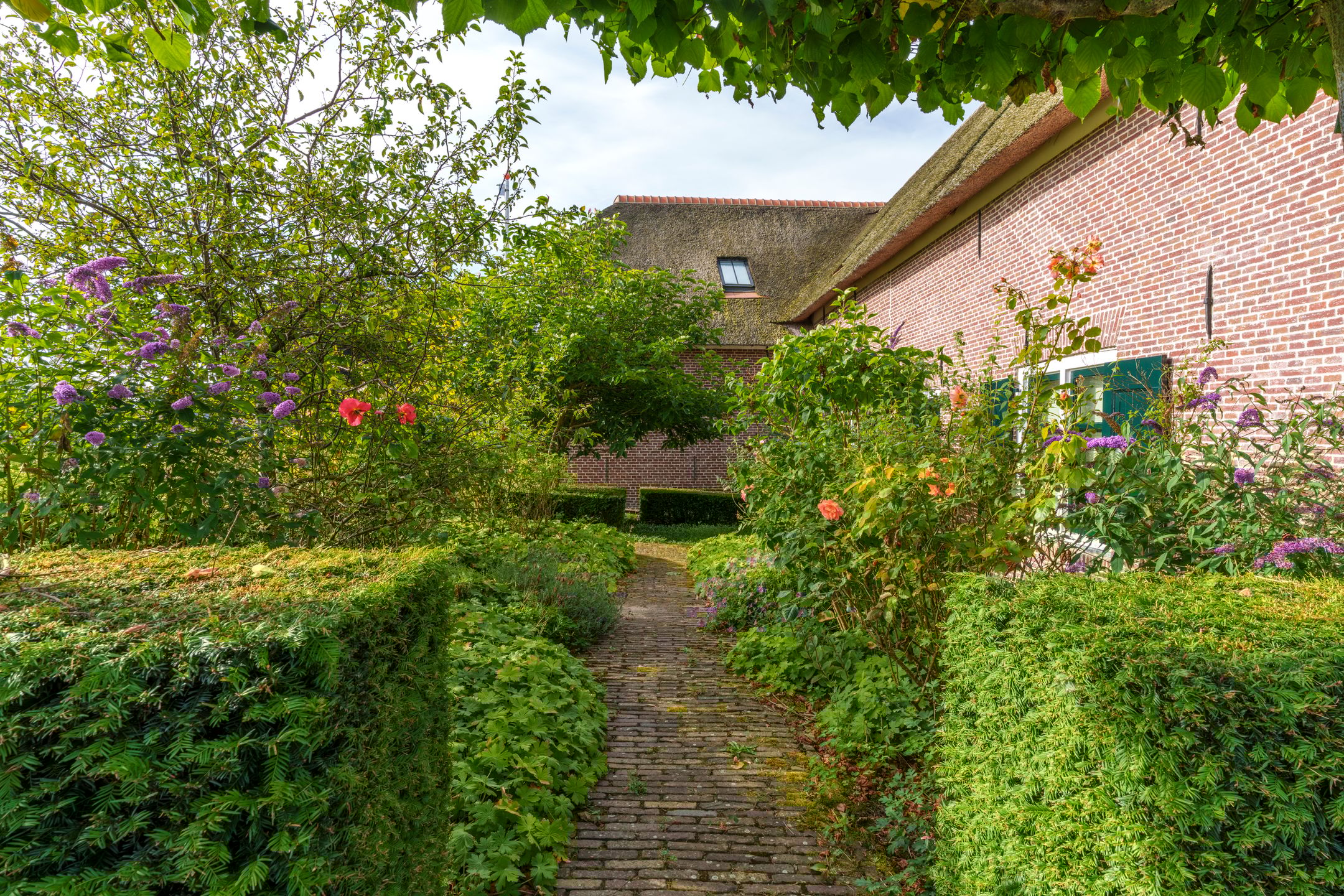 Foto 6 van Achtersloot 57