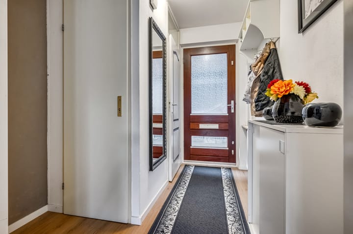 Photo 6 of Hollandia 54