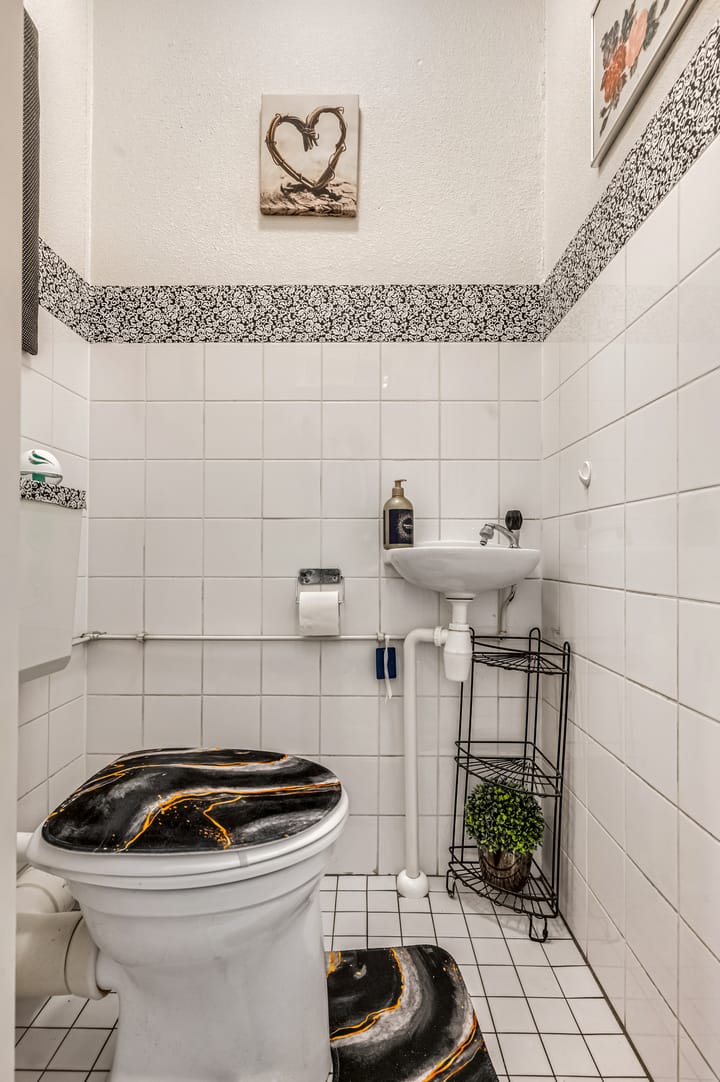 Photo 7 of Hollandia 54