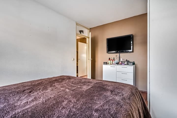 Photo 11 of Hollandia 54