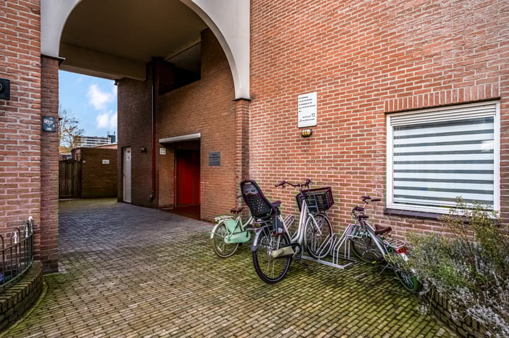 Photo 20 of Hollandia 54