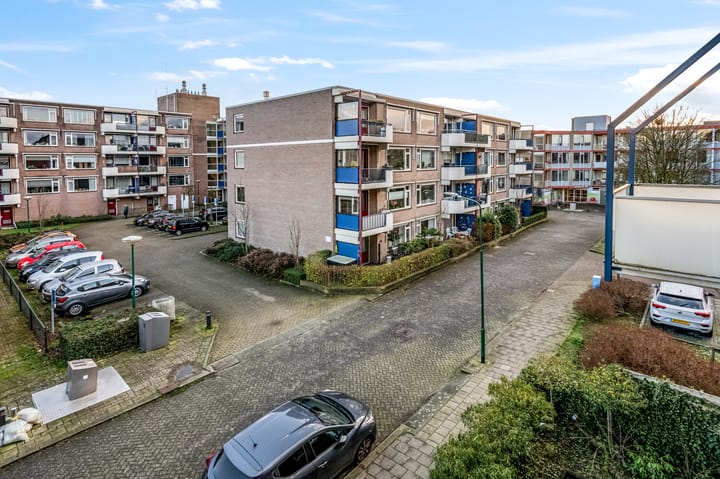 Photo 22 of Hollandia 54