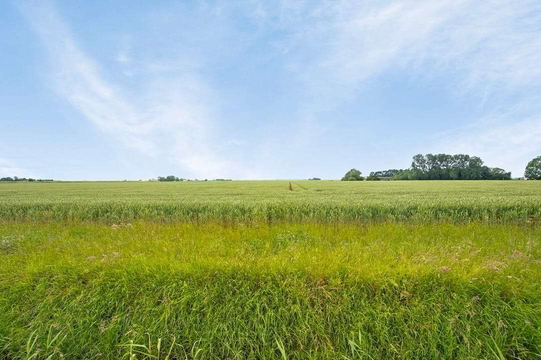 Foto 76 van Sandhil 8