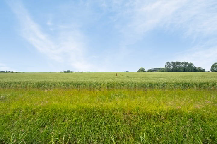 Foto 76 van Sandhil 8