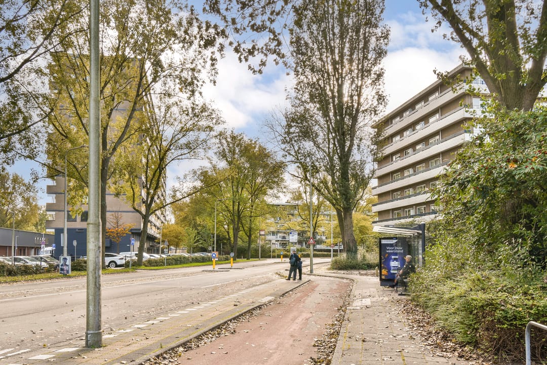 Photo 26 of Groenhof 303