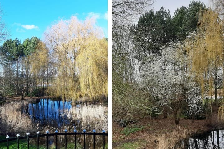 Foto 50 van Dijkweg 28