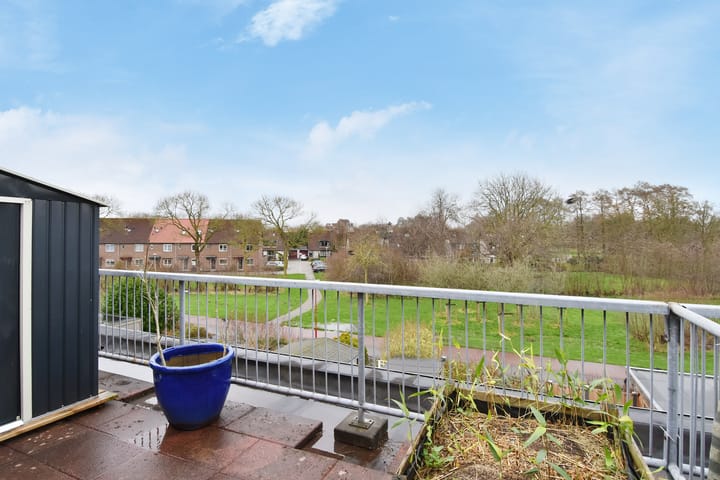 Foto 4 van Ponyweide 36