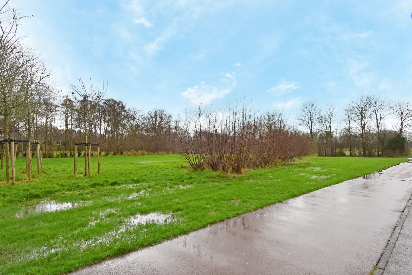 Foto 19 van Ponyweide 36