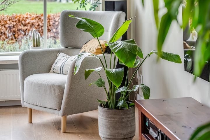 Foto 8 van Floralaan 35