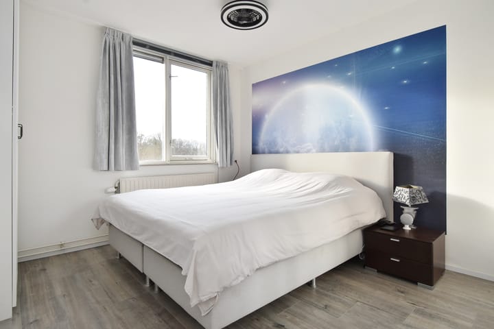 Foto 36 van Ponyweide 36