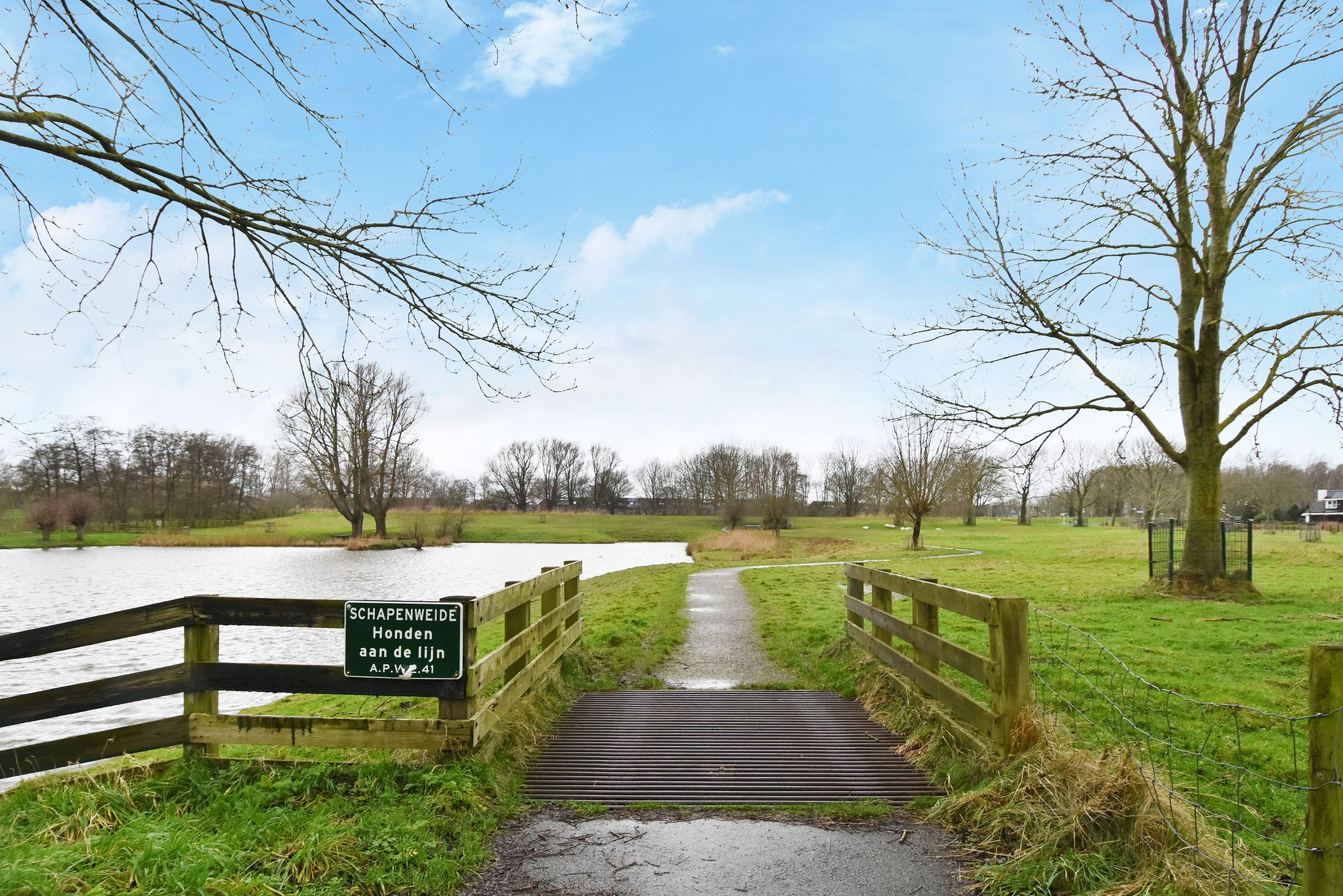 Foto 48 van Ponyweide 36