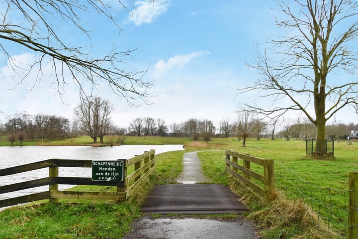 Foto 48 van Ponyweide 36