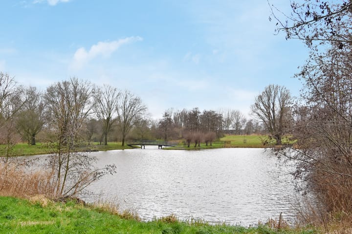 Foto 50 van Ponyweide 36