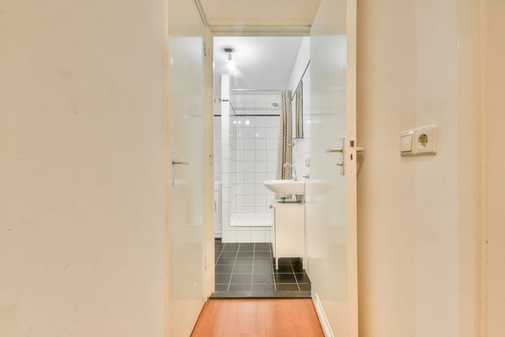 Foto 27 van Tweede Jan Steenstraat 18-H