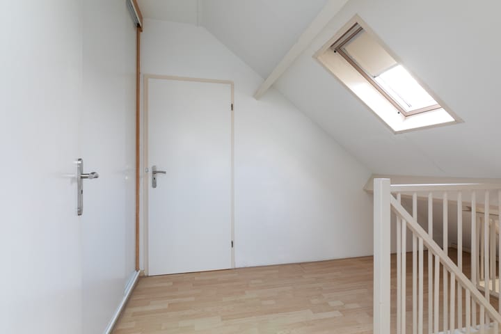 Foto 25 van Sleutelbloem 46