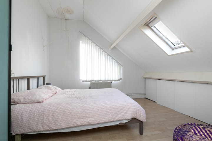 Foto 26 van Sleutelbloem 46