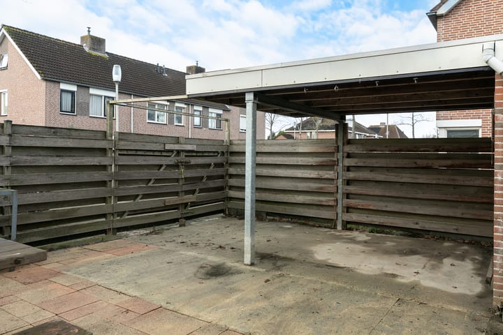 Foto 34 van Sleutelbloem 46