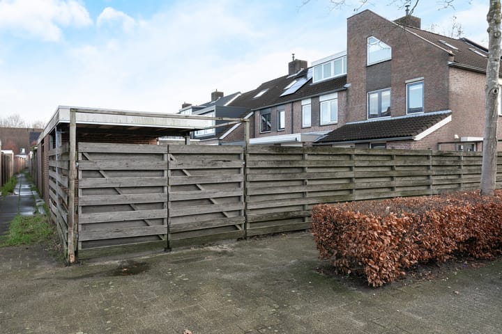 Foto 36 van Sleutelbloem 46