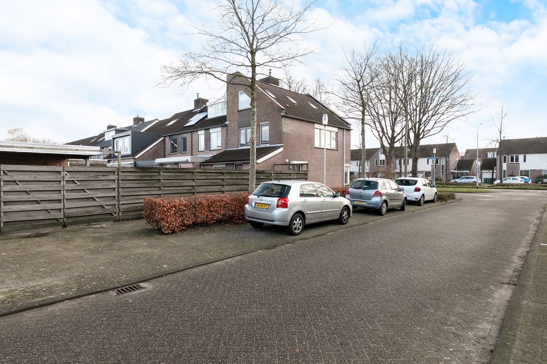 Foto 37 van Sleutelbloem 46