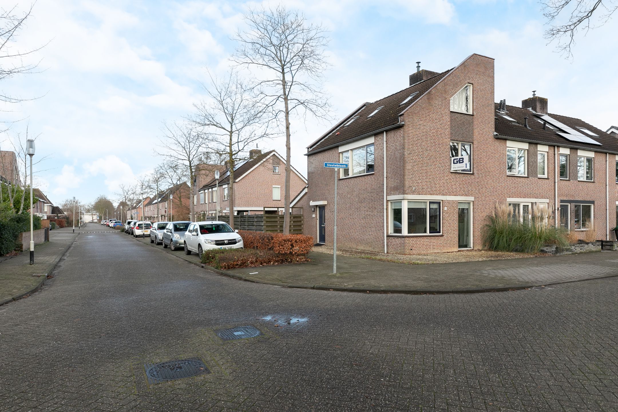 Foto 39 van Sleutelbloem 46