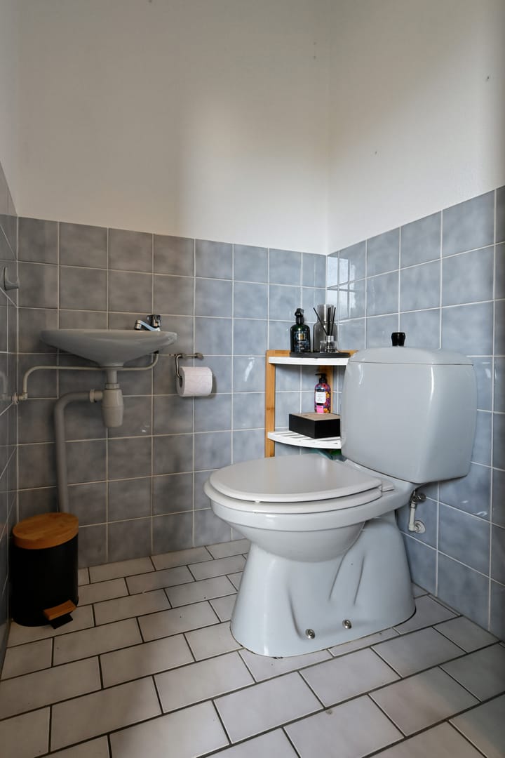 Foto 12 van Toppereend 69