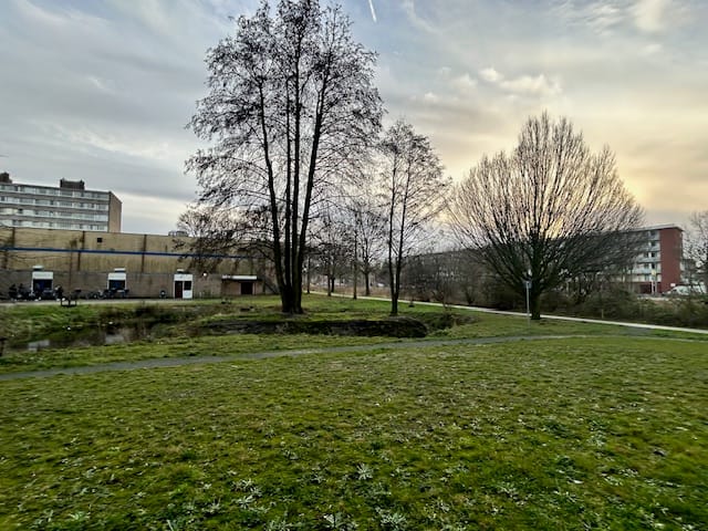 Foto 7 van Aalscholverpad 1