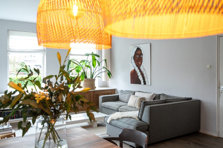 Foto 12 van Hearewei 30