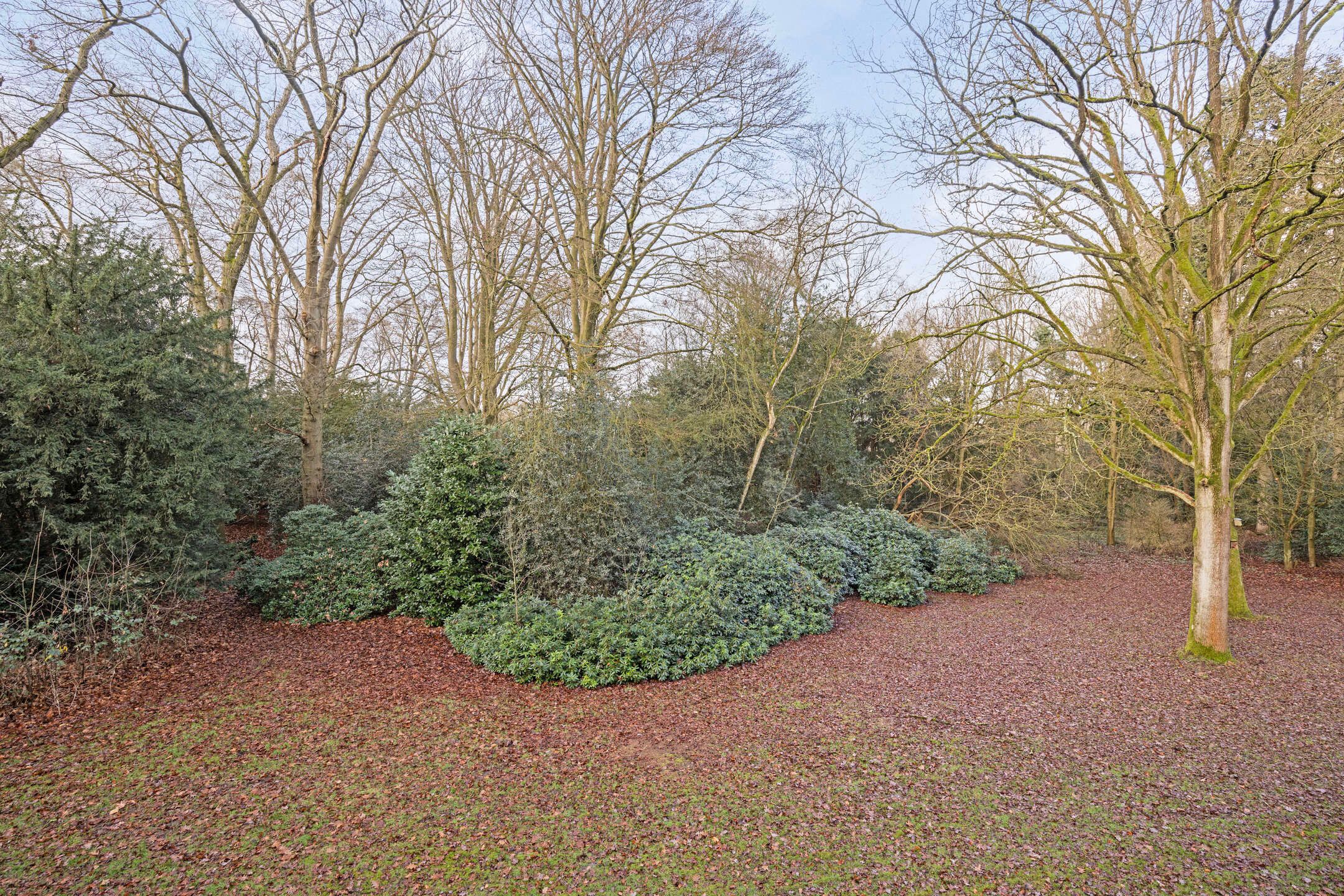 Foto 33 van Park de Kotten 138