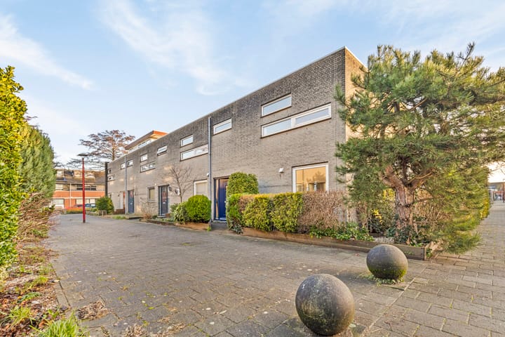 Foto 2 van Willem Walravenhove 10