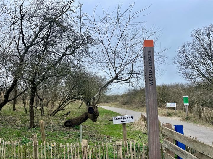 Foto 37 van Rossinilaan 401