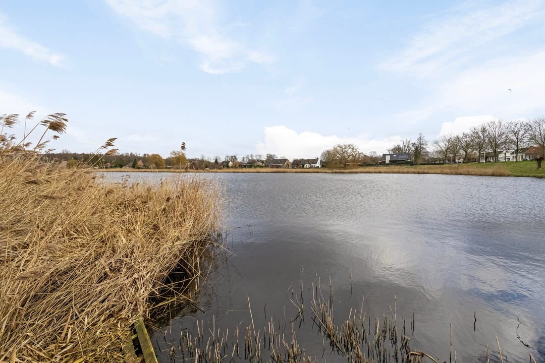 Foto 22 van Seringenlaan 3