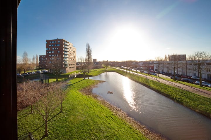 Foto 2 van Watervogelstraat 296