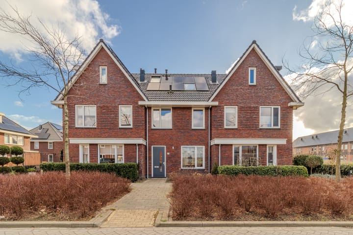 Foto 1 van Gibbon 21