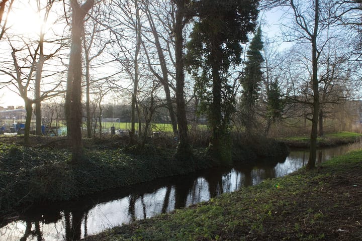 Foto 24 van Tonystraat 25