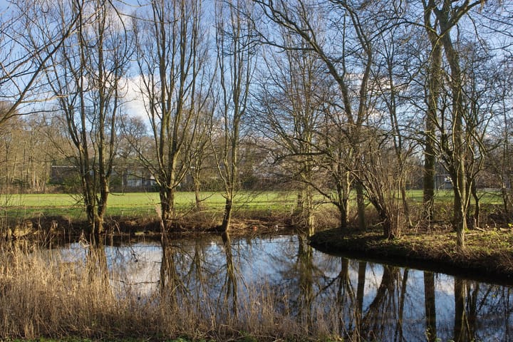 Foto 25 van Tonystraat 25