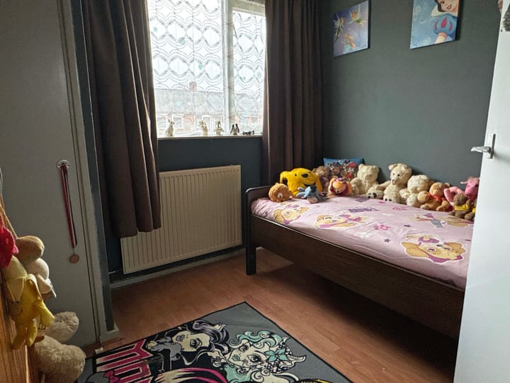 Foto 14 van van Limburg Stirumstraat 13