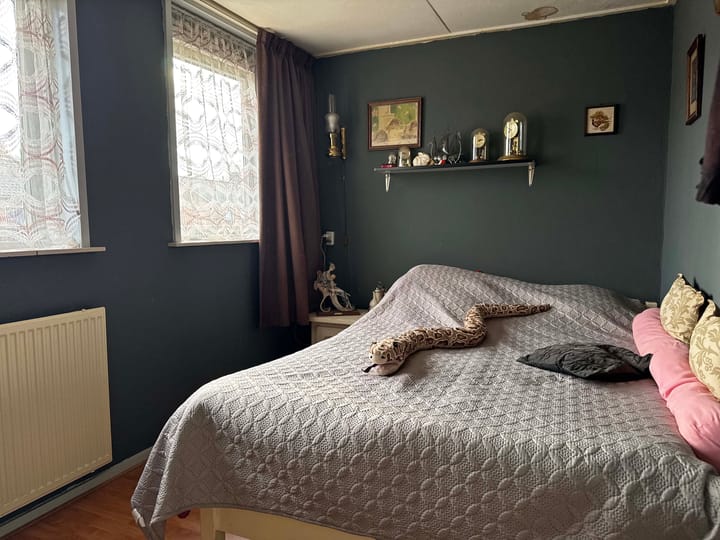 Foto 15 van van Limburg Stirumstraat 13