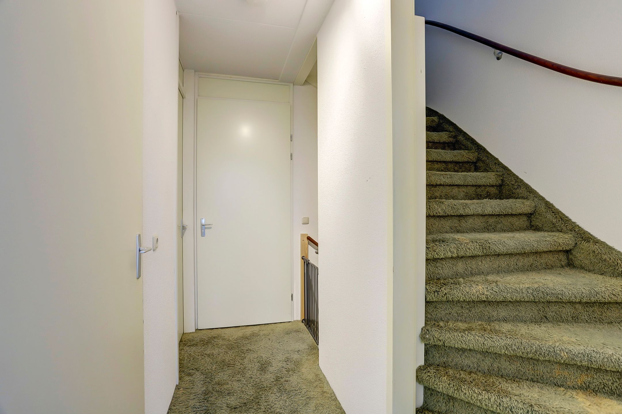 Photo 9 of Garenboom 47