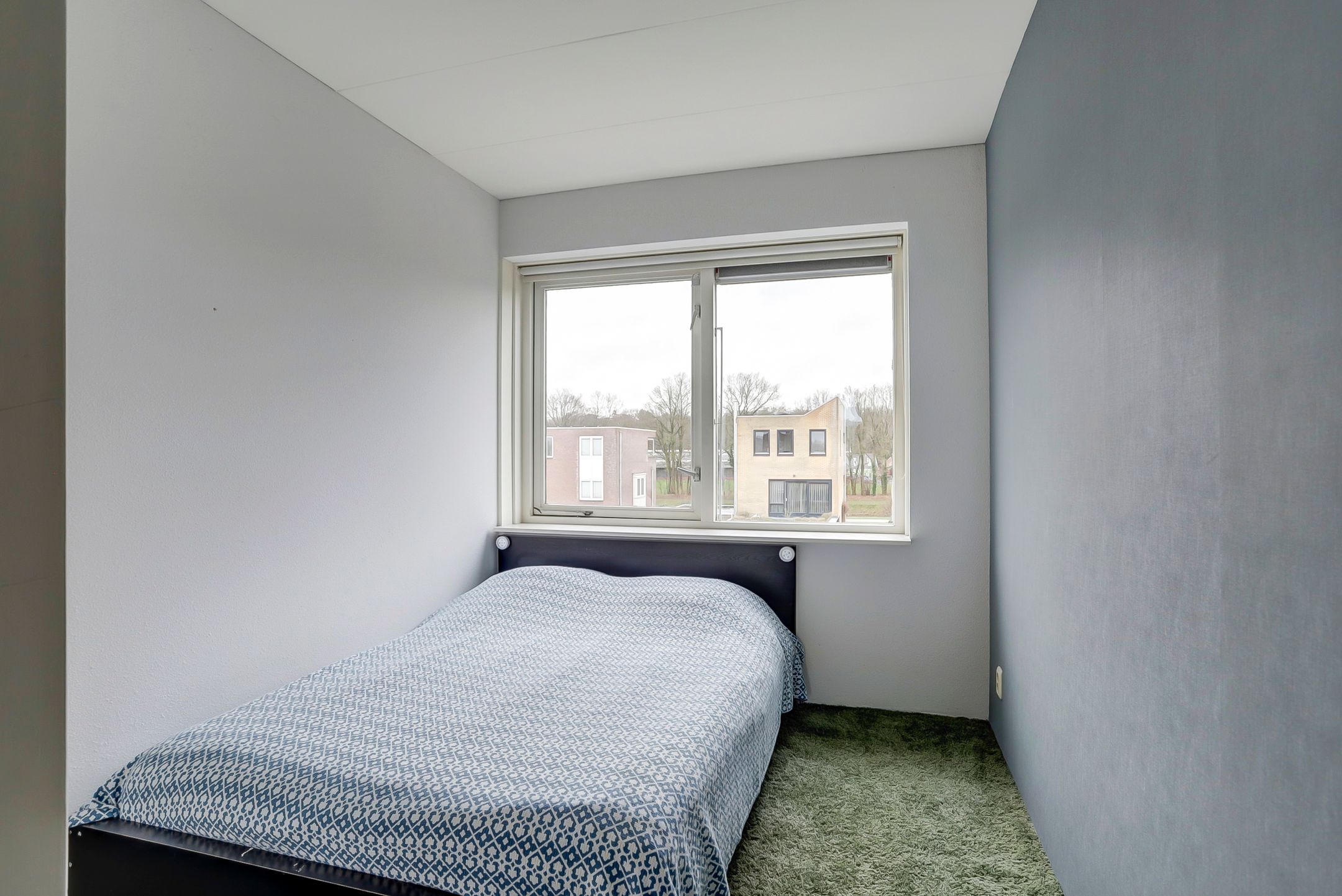 Photo 12 of Garenboom 47