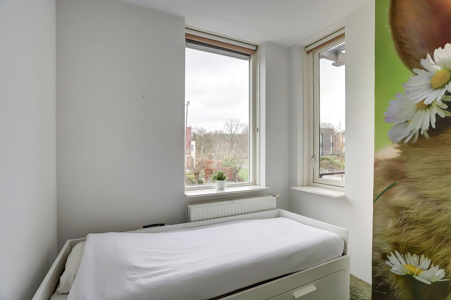 Photo 19 of Garenboom 47