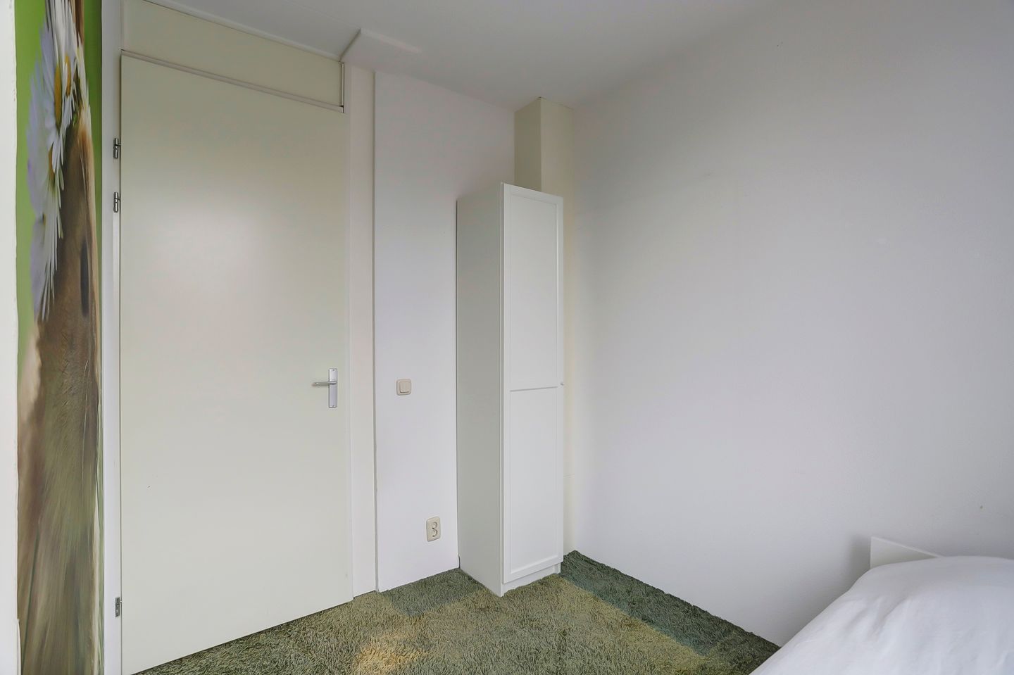 Photo 20 of Garenboom 47