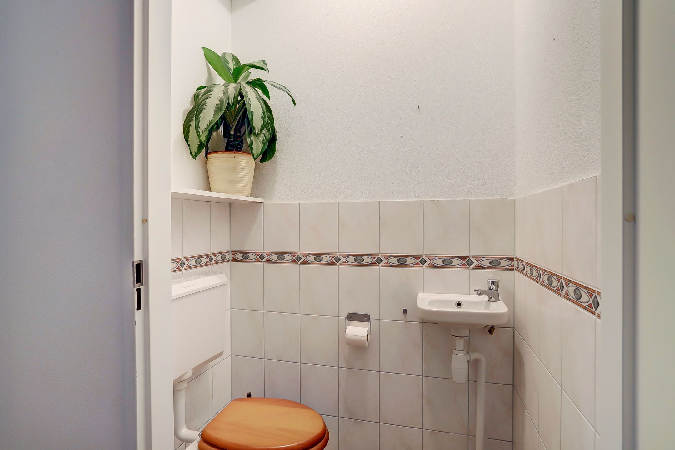 Photo 24 of Garenboom 47