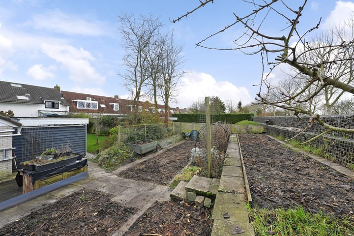 Foto 35 van Walraven van Hallstraat 20