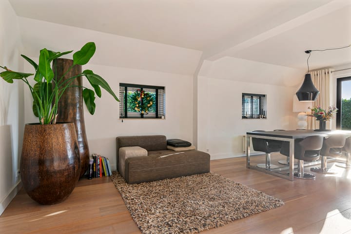 Foto 8 van Watervogel 33